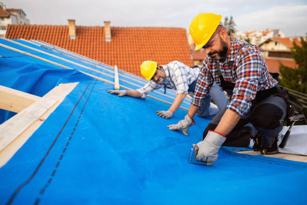 Best Roof Insulation Installation  in Dunkirk, NY