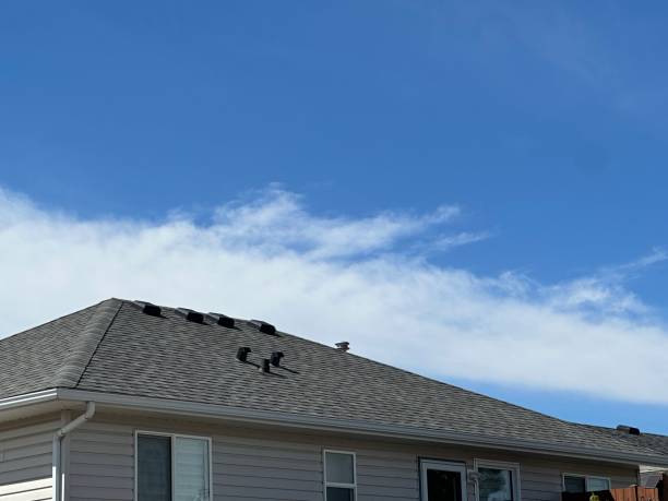 Best Roof Maintenance and Cleaning  in Dunkirk, NY
